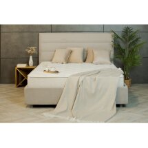 Матрас Comfort Alternative 120х200