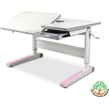 Детская парта Mealux RichWood Multicolor