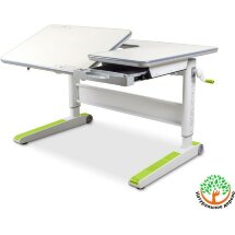 Детская парта Mealux RichWood Multicolor